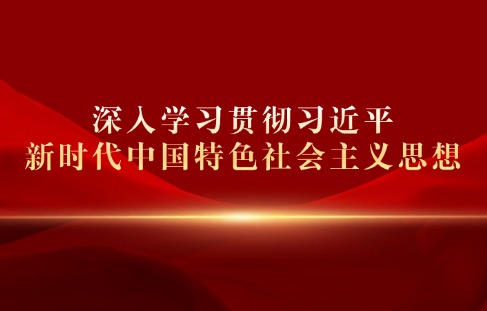 深入學(xué)習(xí)貫徹習(xí)近平新時代中國特色社會主義思想