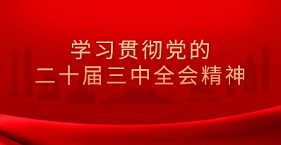 學(xué)習(xí)貫徹落實黨的二十屆三中全會精神